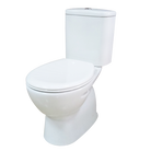 Shaw & Mason P Trap Close Coupled Toilet Suite (6778129973400)